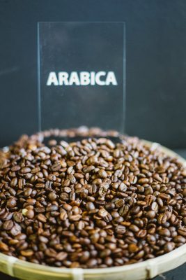 Tổng hợp kiến thức về cà phê Arabica